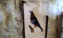 bailey_hunter_robinson_studio_24