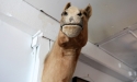 bailey_hunter_robinson_studio_30