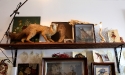bailey_hunter_robinson_studio_34