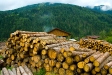 firewood_03