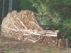 firewood_05