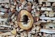 firewood_09