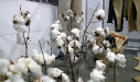 grown_and_sewn_8