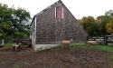 ramblers_way_farm_maine_14