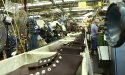 red_wing_shoe_boot_factory_12