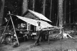 us_forestry_02
