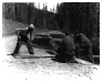 us_forestry_05