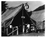 us_forestry_11
