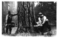us_forestry_16