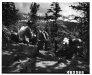 us_forestry_19