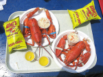 Lobster_11
