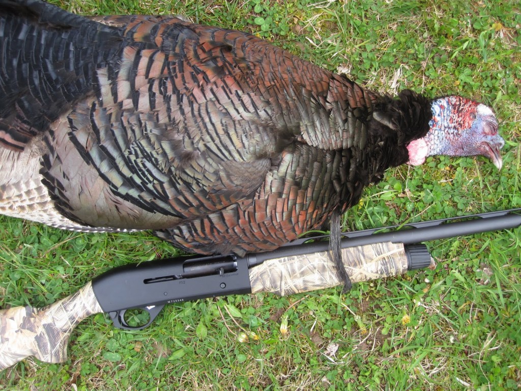 turkey