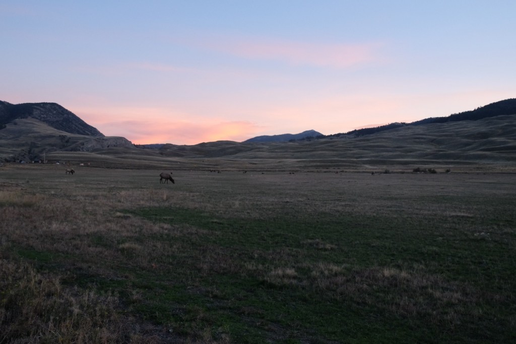 Yellowstone