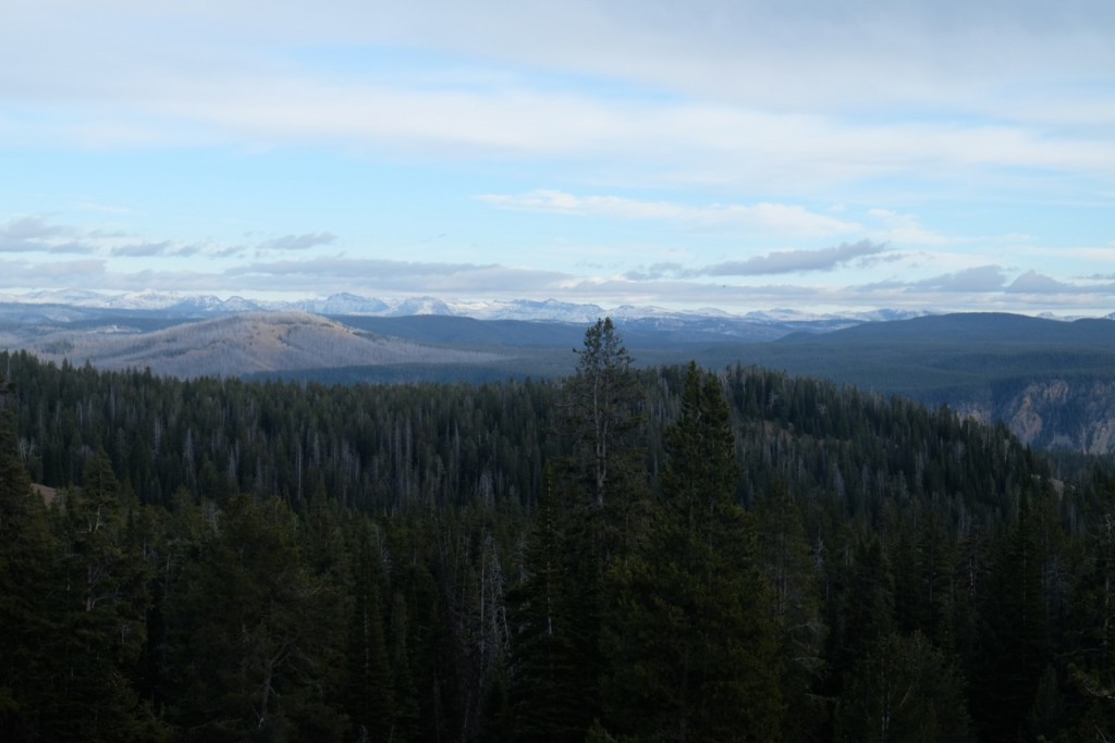 Yellowstone II