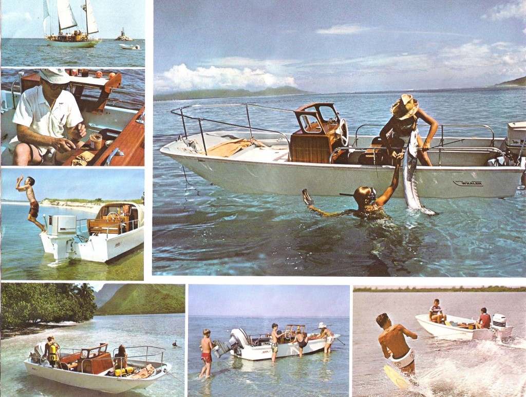 Whaler5
